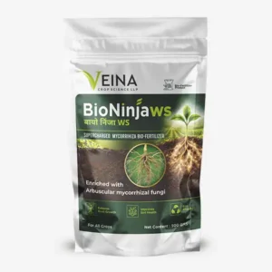 BioNinja WS